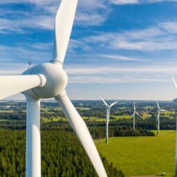 los-inversores-desean-financiar-mas-energia-eolica-deben-los-gobiernos-apoyarlo